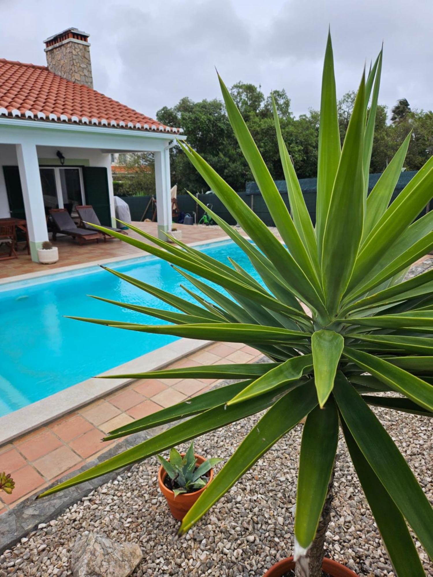 Casa Delbon Guest House Aljezur Zewnętrze zdjęcie